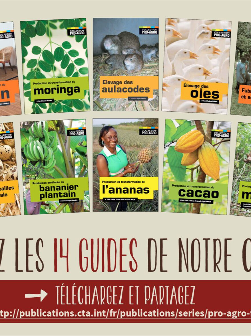 Guides pratiques