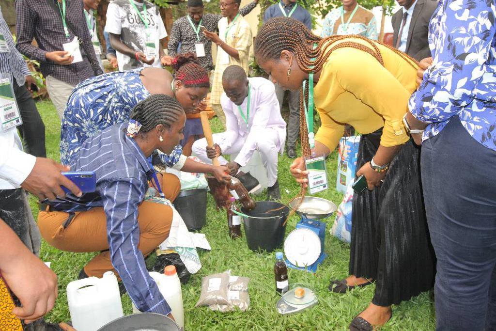 476225794 658200776716255 7727105270991776654 n