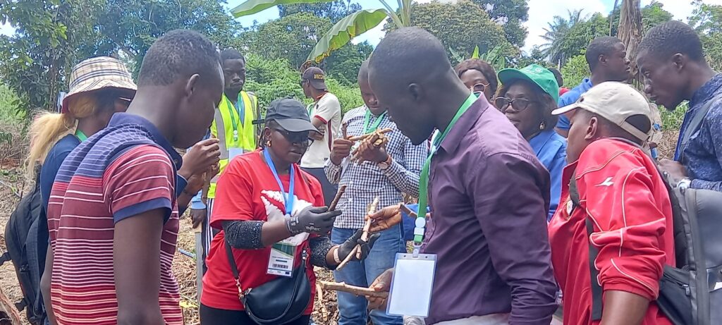 476463591 658203376715995 27092996810857534 n