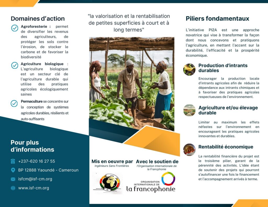 484807214 949738407355111 1052812040372131156 n