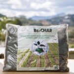 Engrais biologique à base de biochar et microorganismes