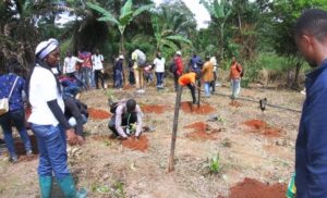 La voix du paysan: La Francophonie finance une initiative sur l’entrepreneuriat agricole jeune